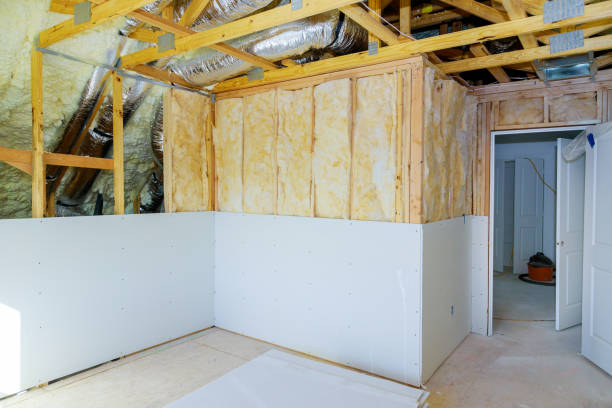 Best Insulation Installation Services in Nokomis, IL