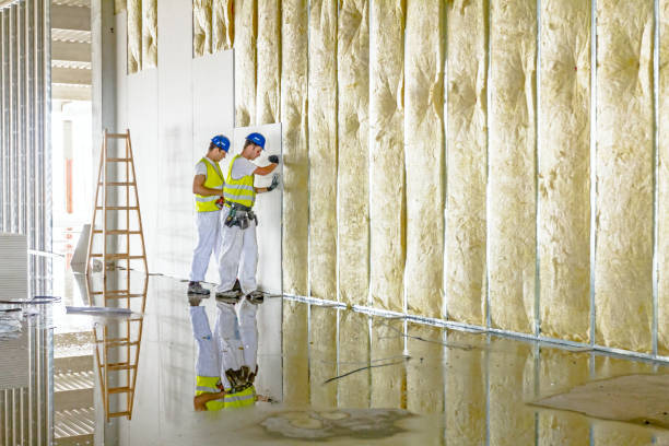 Best Commercial Insulation in Nokomis, IL